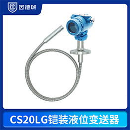 CS20LG鎧裝液位變送器